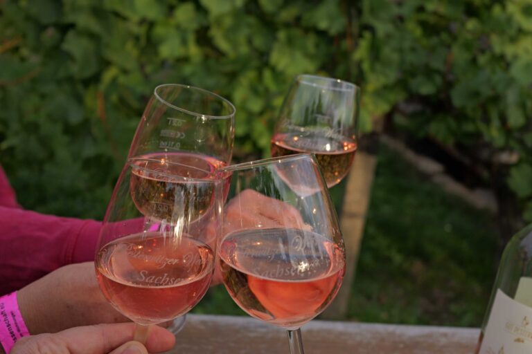 Strahlende Kinderaugen und beste Stimmung: Ein R&uuml;ckblick auf unser Herbst- und Weinfest 2026! 🍷
